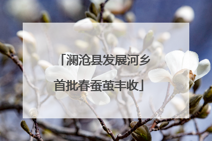 澜沧县发展河乡首批春蚕茧丰收