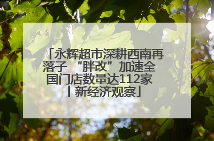 永辉超市深耕西南再落子 “胖改”加速全国门店数量达112家丨新经济观察