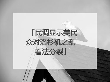 民调显示美民众对洛杉矶之乱看法分裂