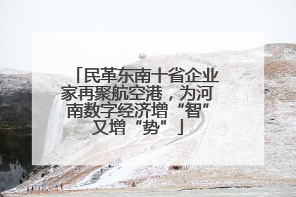 民革东南十省企业家再聚航空港，为河南数字经济增“智”又增“势”