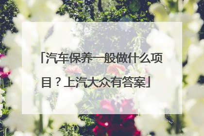 汽车保养一般做什么项目？上汽大众有答案