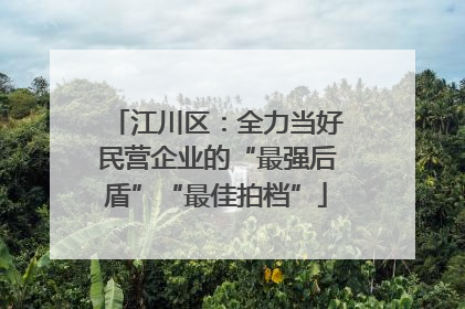 江川区：全力当好民营企业的“最强后盾”“最佳拍档”