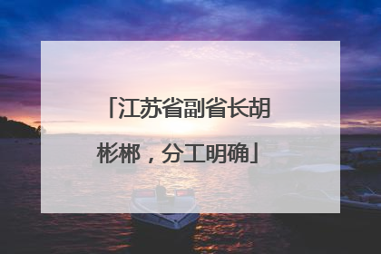 江苏省副省长胡彬郴，分工明确