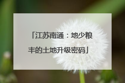 江苏南通：地少粮丰的土地升级密码