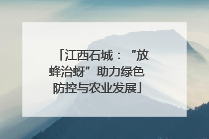 江西石城：“放蜂治蚜”助力绿色防控与农业发展