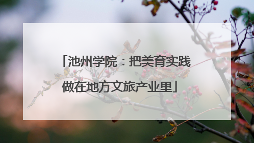 池州学院：把美育实践做在地方文旅产业里