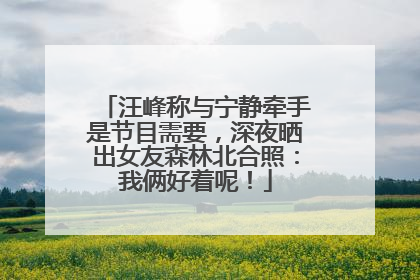 汪峰称与宁静牵手是节目需要，深夜晒出女友森林北合照：我俩好着呢！