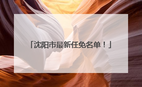 沈阳市最新任免名单！