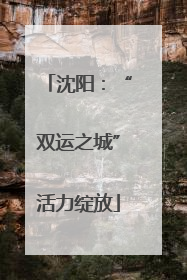 沈阳：“双运之城”活力绽放