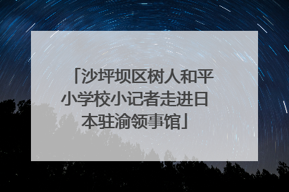 沙坪坝区树人和平小学校小记者走进日本驻渝领事馆