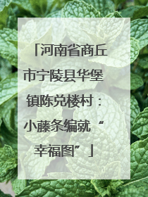 河南省商丘市宁陵县华堡镇陈兑楼村：小藤条编就“幸福图”
