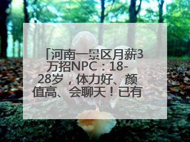 河南一景区月薪3万招NPC：18-28岁，体力好、颜值高、会聊天！已有1000多人应聘