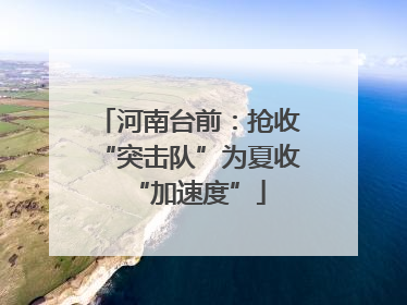河南台前：抢收“突击队”为夏收“加速度”