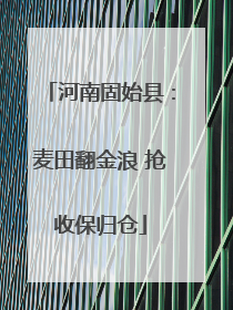 河南固始县：麦田翻金浪 抢收保归仓