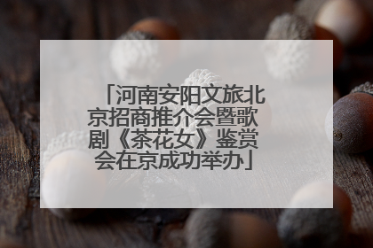 河南安阳文旅北京招商推介会暨歌剧《茶花女》鉴赏会在京成功举办