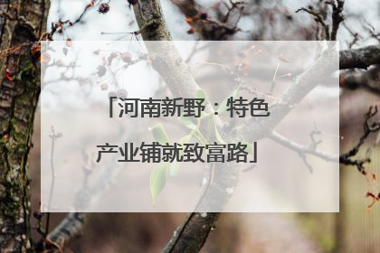 河南新野：特色产业铺就致富路