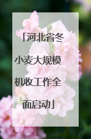河北省冬小麦大规模机收工作全面启动