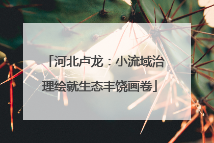 河北卢龙：小流域治理绘就生态丰饶画卷