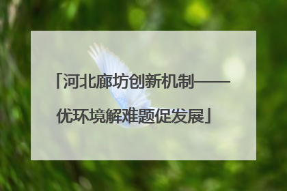 河北廊坊创新机制——优环境解难题促发展