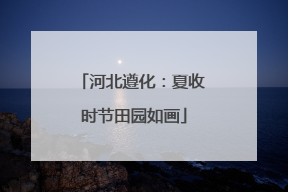 河北遵化：夏收时节田园如画
