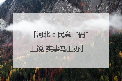 河北：民意“码”上说 实事马上办