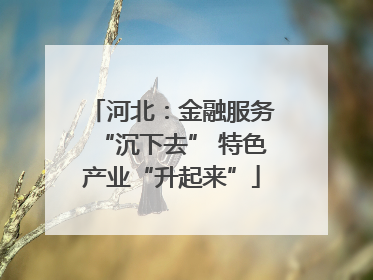河北：金融服务“沉下去” 特色产业“升起来”
