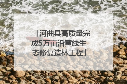 河曲县高质量完成5万亩沿黄线生态修复造林工程