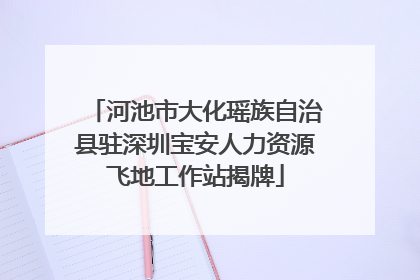 河池市大化瑶族自治县驻深圳宝安人力资源飞地工作站揭牌