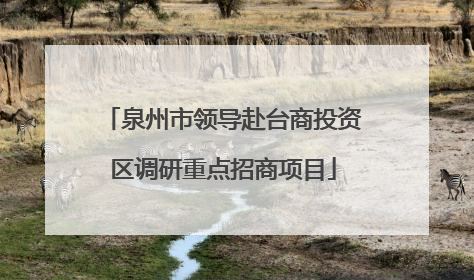 泉州市领导赴台商投资区调研重点招商项目