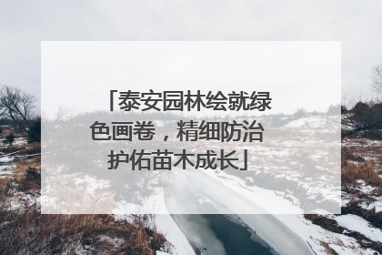 泰安园林绘就绿色画卷，精细防治护佑苗木成长