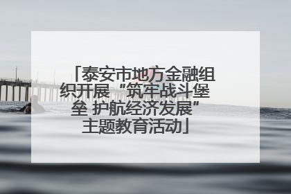 泰安市地方金融组织开展“筑牢战斗堡垒 护航经济发展”主题教育活动