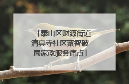 泰山区财源街道清真寺社区聚智破局家政服务痛点