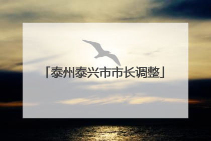 泰州泰兴市市长调整