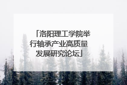 洛阳理工学院举行轴承产业高质量发展研究论坛