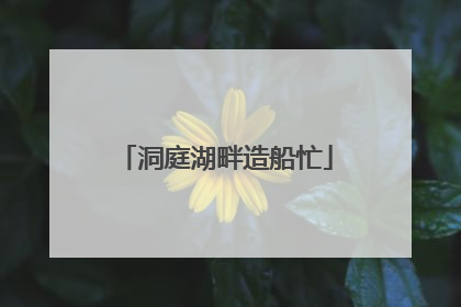 洞庭湖畔造船忙