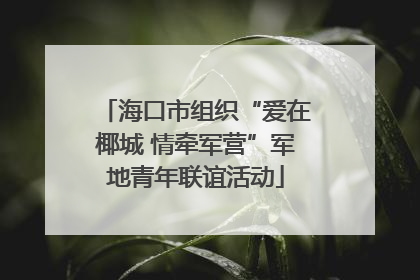 海口市组织“爱在椰城 情牵军营”军地青年联谊活动