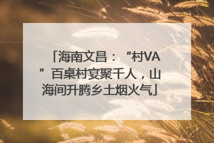 海南文昌：“村VA”百桌村宴聚千人，山海间升腾乡土烟火气