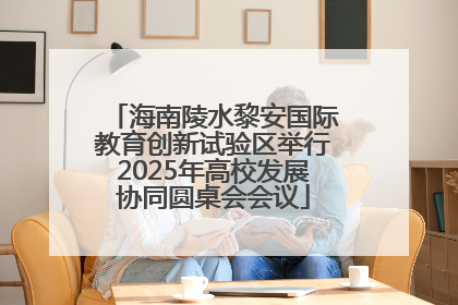 海南陵水黎安国际教育创新试验区举行2025年高校发展协同圆桌会会议