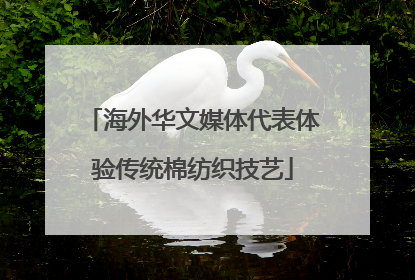 海外华文媒体代表体验传统棉纺织技艺