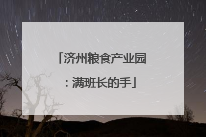 济州粮食产业园：满班长的手