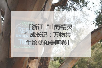 浙江“山野精灵”成长记：万物共生绘就和美画卷