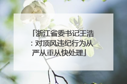 浙江省委书记王浩：对顶风违纪行为从严从重从快处理