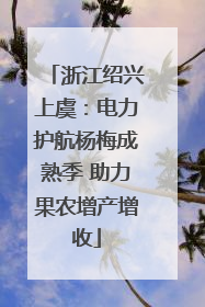 浙江绍兴上虞：电力护航杨梅成熟季 助力果农增产增收
