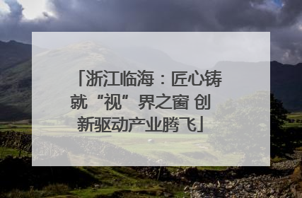 浙江临海：匠心铸就“视”界之窗 创新驱动产业腾飞