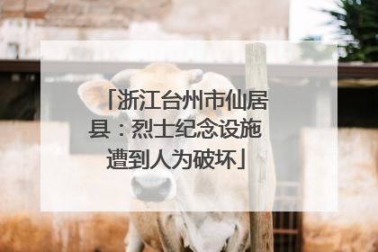 浙江台州市仙居县：烈士纪念设施遭到人为破坏