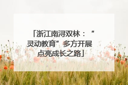 浙江南浔双林：“灵动教育”多方开展 点亮成长之路