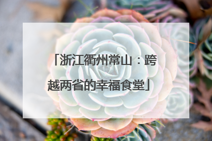 浙江衢州常山：跨越两省的幸福食堂