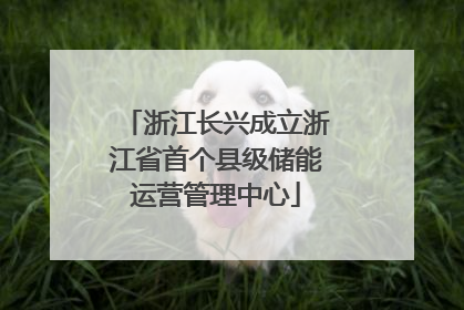 浙江长兴成立浙江省首个县级储能运营管理中心