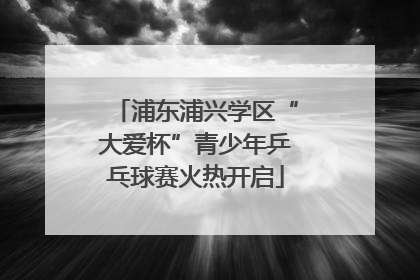 浦东浦兴学区“大爱杯”青少年乒乓球赛火热开启