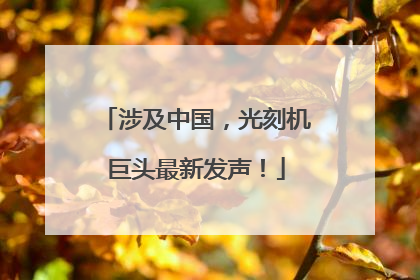 涉及中国，光刻机巨头最新发声！